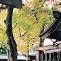 Tokyo, Japan